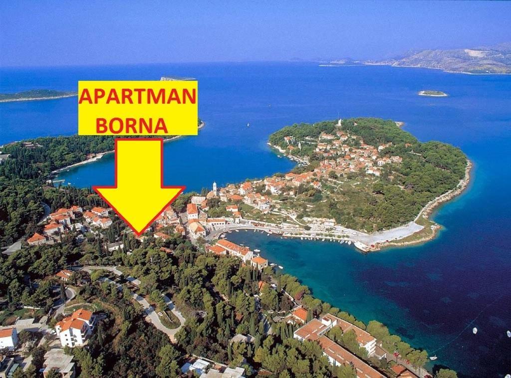 Apartment Borna Cavtat